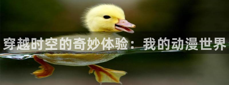 禁漫天堂天堂comic18：穿越时空的奇妙体验：我的动漫世界