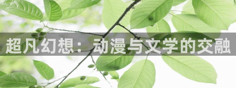 禁漫天堂观看：超凡幻想：动漫与文学的交融
