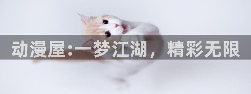 禁漫天堂不知火舞：动漫屋:一梦江湖，精彩无限