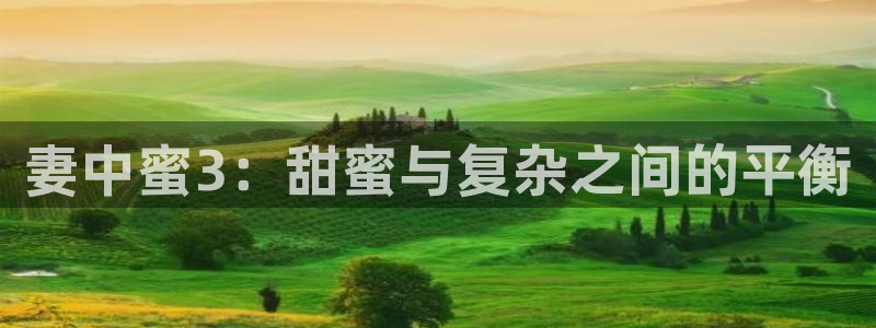 禁漫天堂新网址：妻中蜜3：甜蜜与复杂之间的平衡