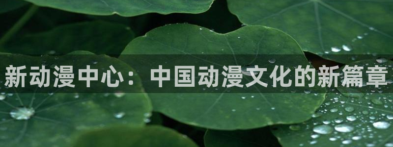 禁漫天堂最：新动漫中心：中国动漫文化的新篇章
