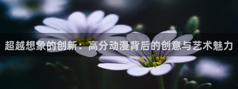 禁漫天堂1.7.7：超越想象的创新：高分动漫背后的创意与艺术魅力