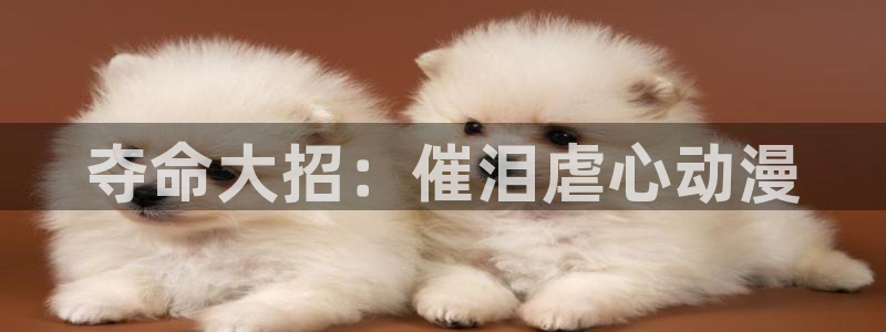 禁漫天堂漫画在线：夺命大招：催泪虐心动漫